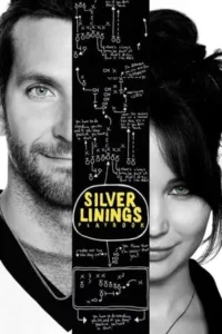 Silver Linings Playbook Movie Poster